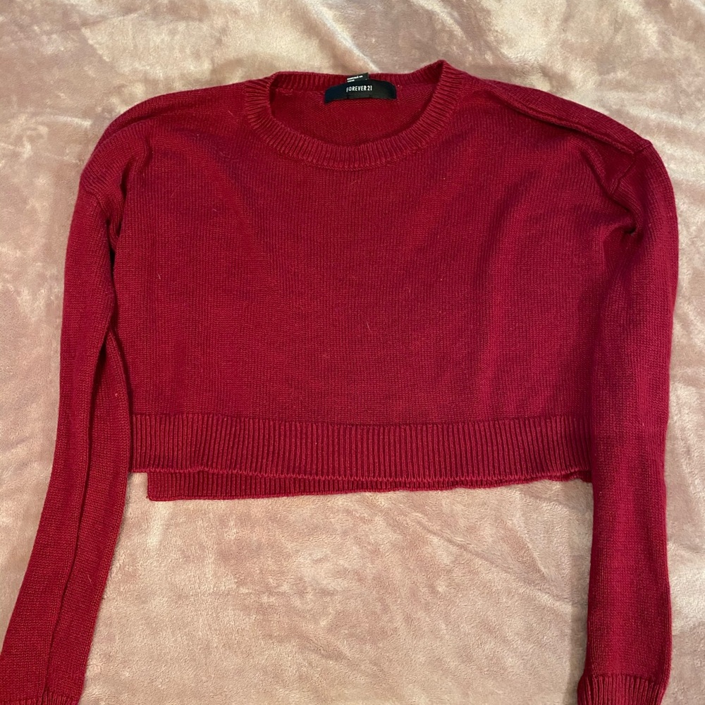Forever 21 Cropped Sweatshirt